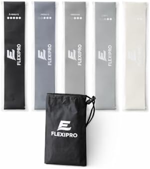 Resistance Bands Set for Workout – Exercise Bands with Handles, Door Anchor & Carry Bag for Home Gym Fitness