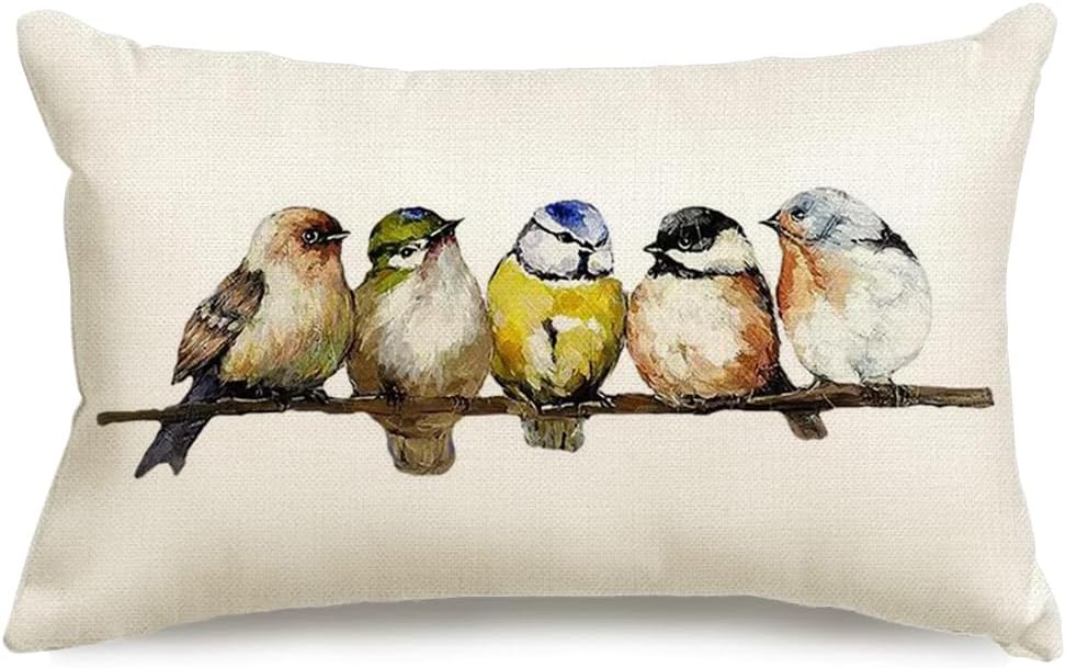 RABUSOFA Watercolor Birds Pillows Decorative Throw Pillows 12x20,Hand-Painted Oil Painting Rustic Birds Lumbar Pillow Cases,Cute Colorful Spring Summer Decorations for Home Couch Sofa Outdoor