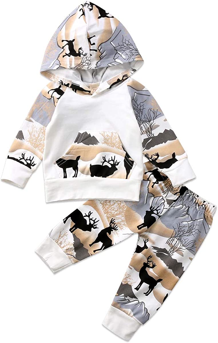 2Pcs Baby Boys Hoodie Tops Pants Set Dinosaur Deer Print Sweatsuit Fall Winter Outfits